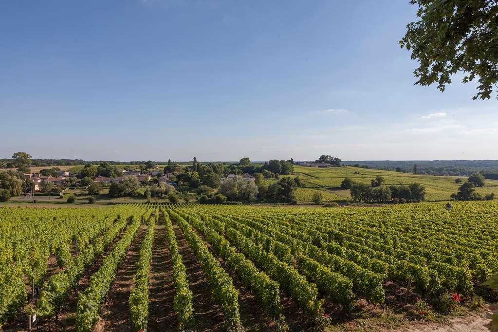Chateau D'Arche, Grand Cru Classe De Sauternes Konforlar fotoğraf
