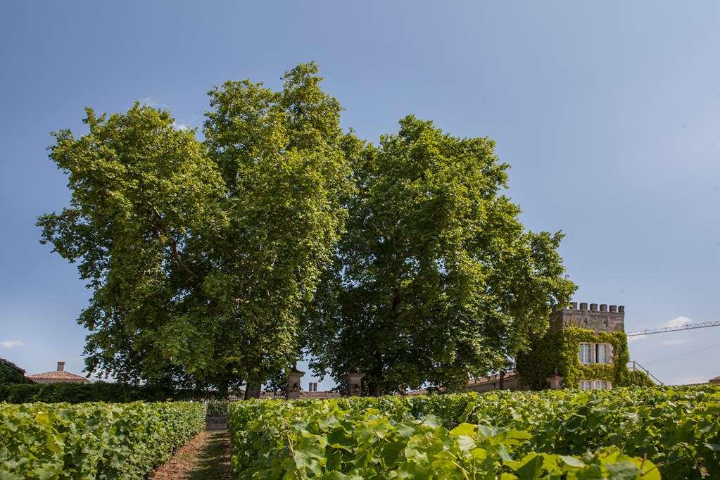 Chateau D'Arche, Grand Cru Classe De Sauternes Konforlar fotoğraf