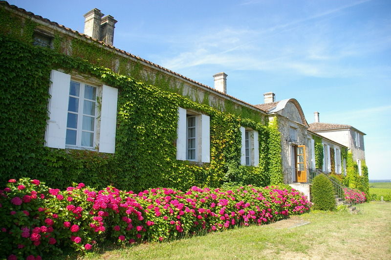 Chateau D'Arche, Grand Cru Classe De Sauternes Dış mekan fotoğraf