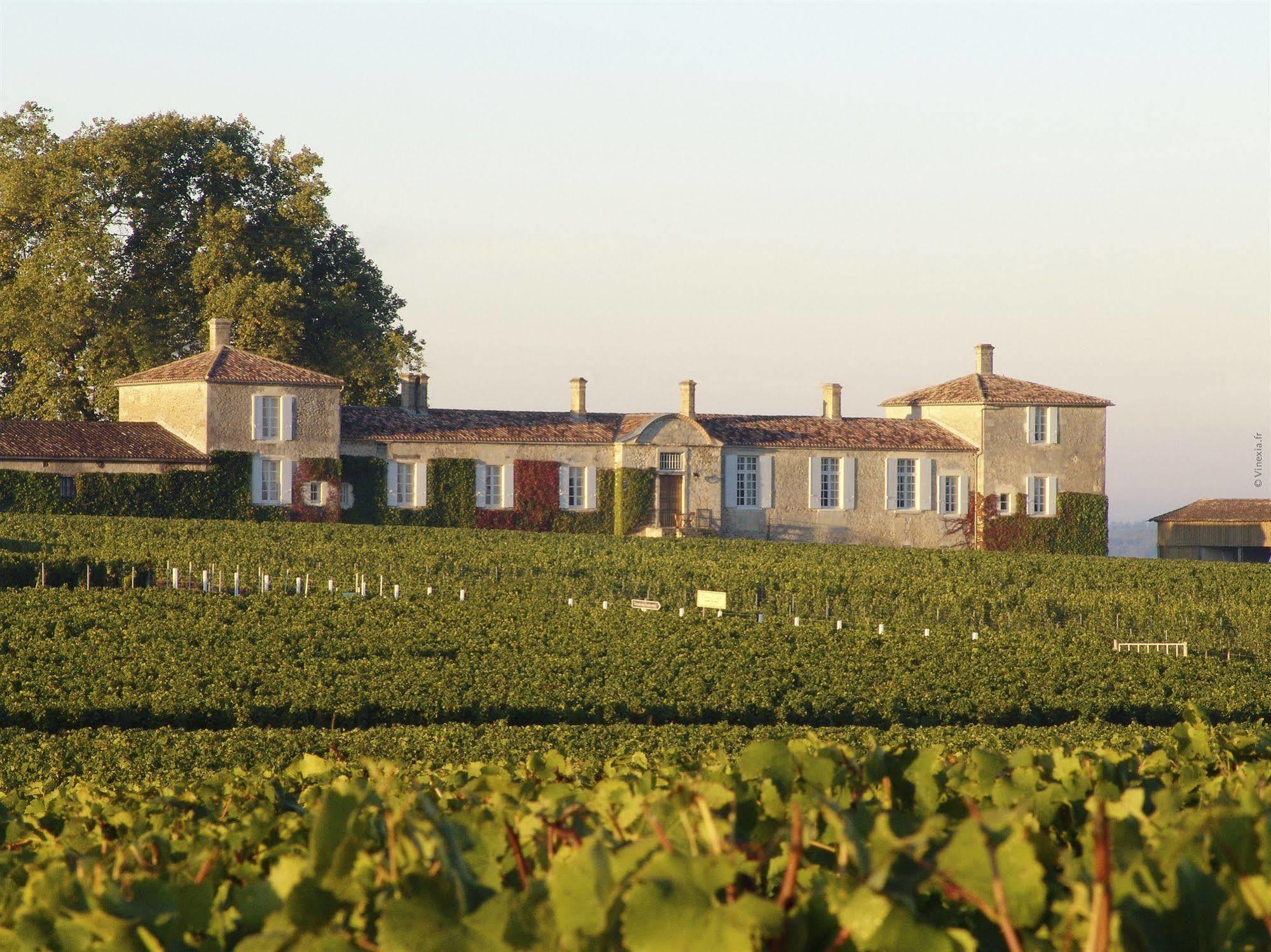 Chateau D'Arche, Grand Cru Classe De Sauternes Dış mekan fotoğraf